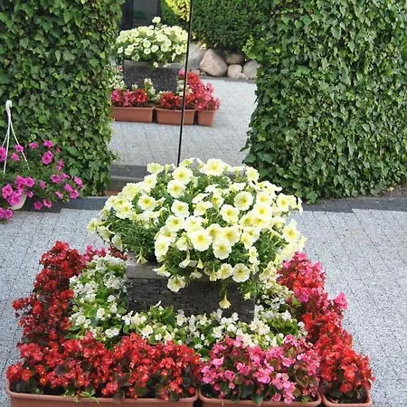 בית אירוח Pokoje Goscinne Zawisza וובה