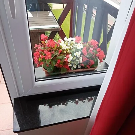 Pokoje Goscinne Zawisza בית אירוח *