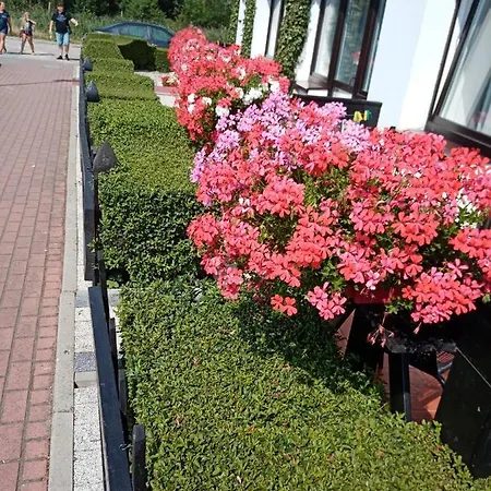 Pokoje Goscinne Zawisza בית אירוח *