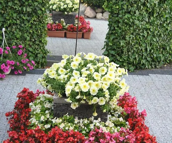 Homestay szállás Pokoje Goscinne Zawisza Łeba