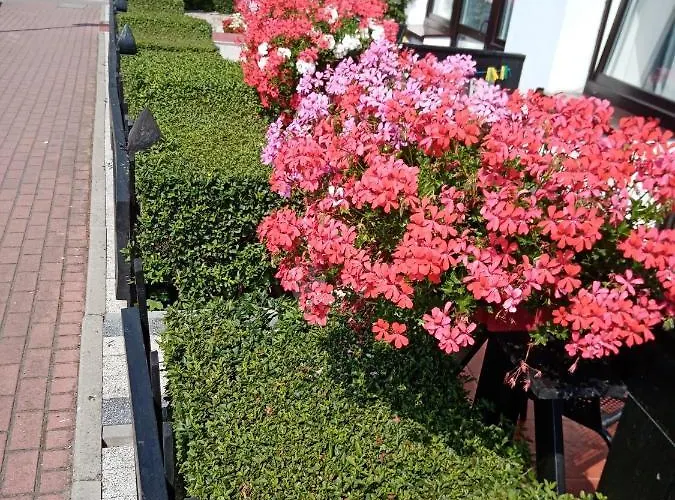 Pokoje Goscinne Zawisza Homestay szállás *