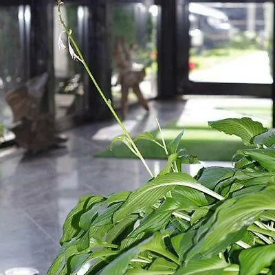 Pokoje Goscinne Zawisza Homestay szállás