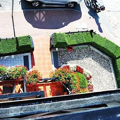 Homestay szállás Pokoje Goscinne Zawisza Łeba